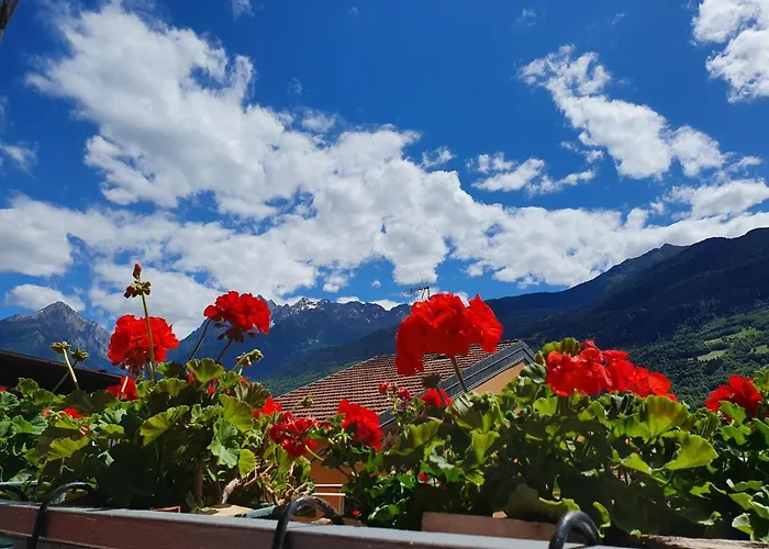 B&B Il Pettirosso 3*