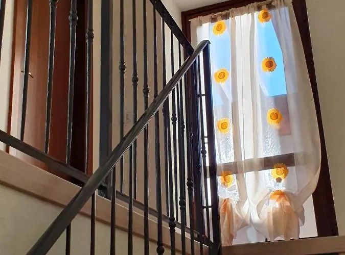 Il Pettirosso B&B
