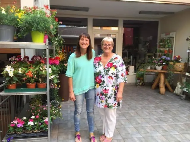 B&B Il Pettirosso 3*