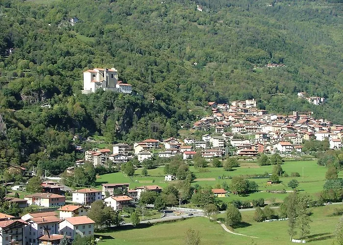Il Pettirosso