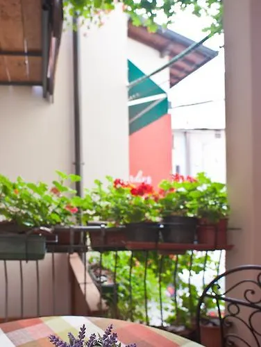 Il Pettirosso B&B