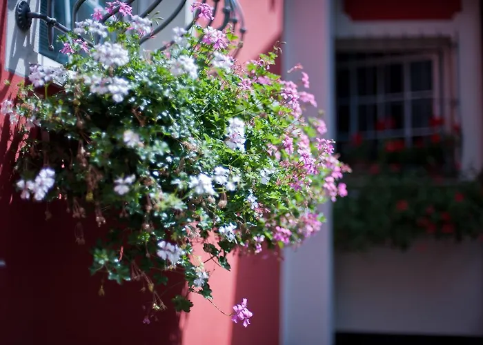 B&B Il Pettirosso