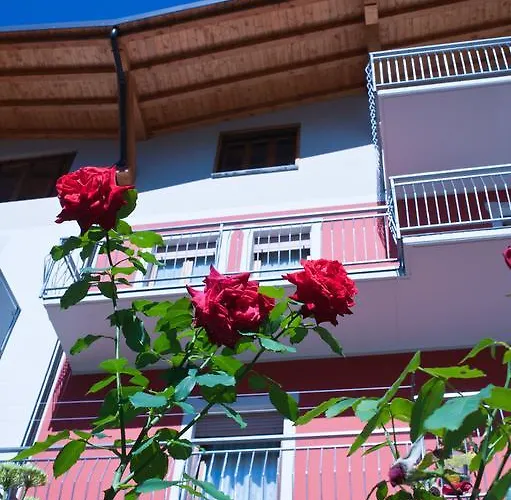 B&B Il Pettirosso 3*