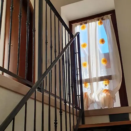 Il Pettirosso B&B