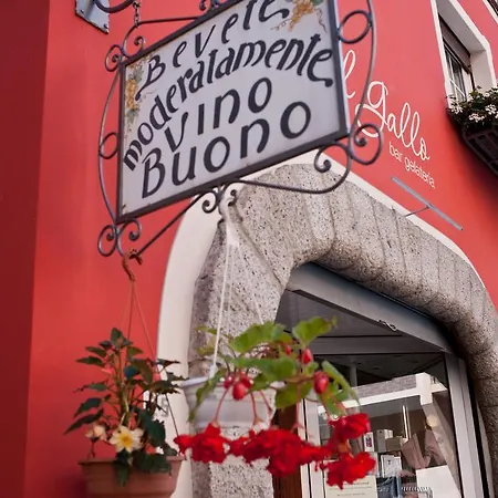 Il Pettirosso B&B *