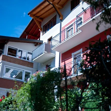 Il Pettirosso B&B *