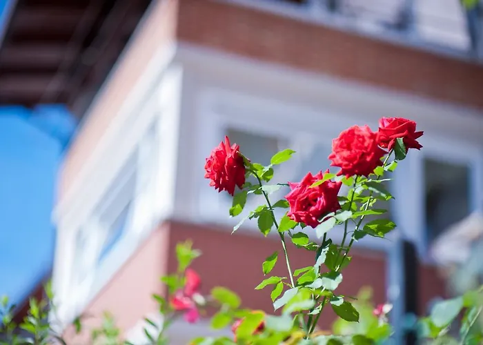 Il Pettirosso Bed & Breakfast Malonno